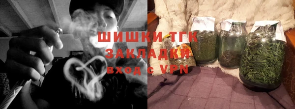 крисы Сатка