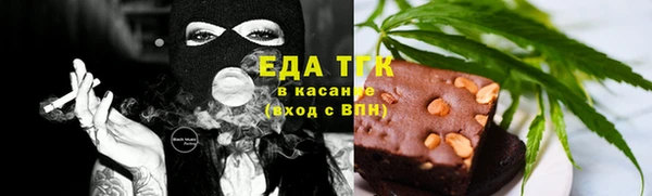крисы Сатка