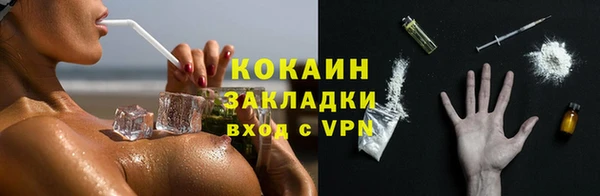 крисы Сатка