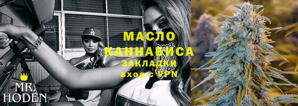 крисы Сатка