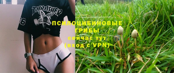 крисы Сатка
