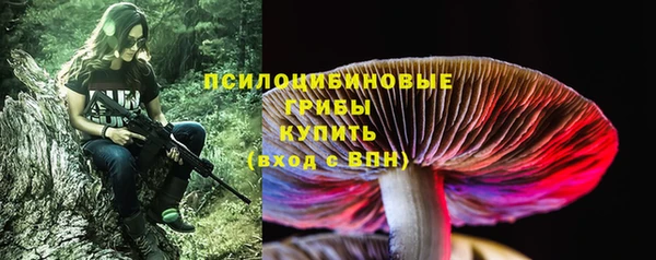 мескалин Коряжма