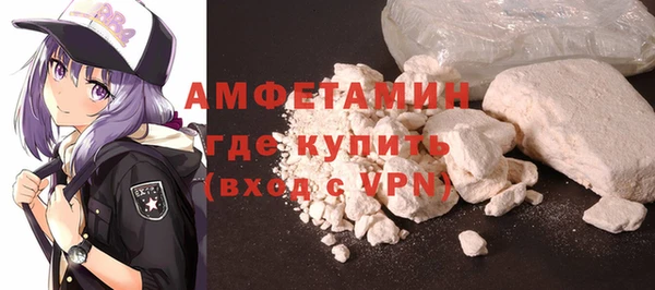 крисы Сатка